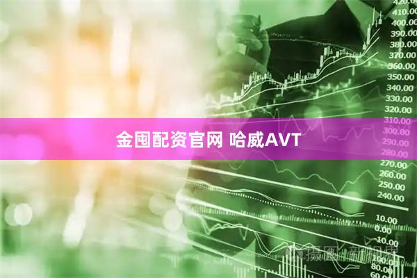 金囤配资官网 哈威AVT