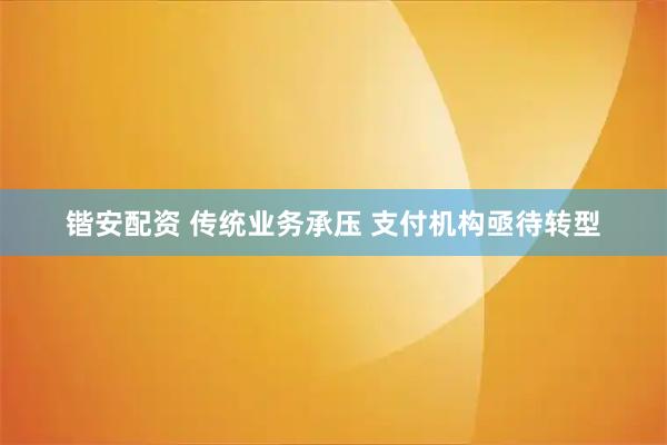 锴安配资 传统业务承压 支付机构亟待转型